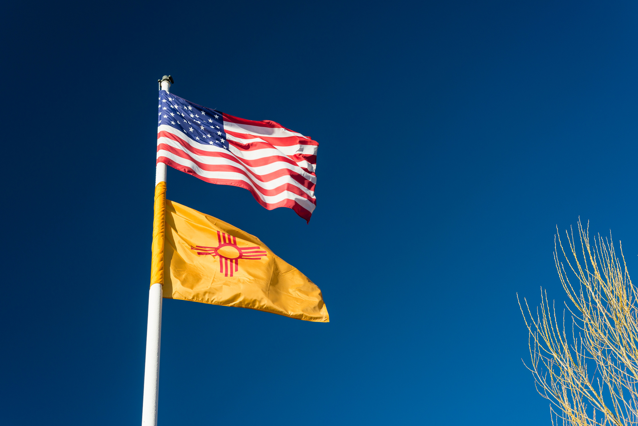 New Mexico and US Flag